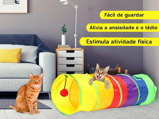 Túnel de gato - Treinamento interativo 😻